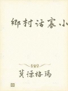 乡村活寡小说封面