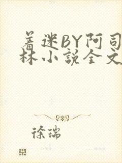 着迷BY阿司匹林小说全文免费阅读