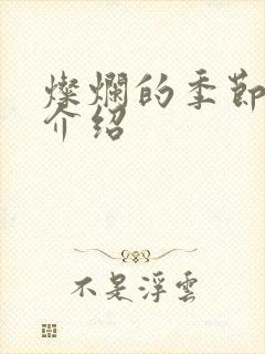 灿烂的季节剧情介绍