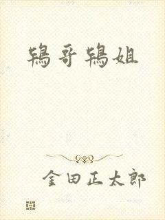 鸨哥鸨姐