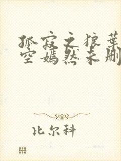 孤寂之狼叶凡司空嫣然未删减txt