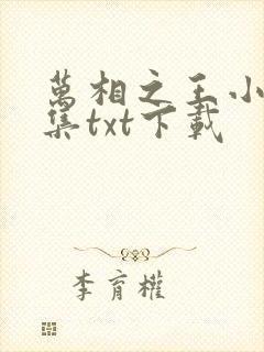 万相之王小说全集txt下载