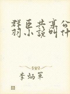 群臣共享公主银羽小说叫什么封面