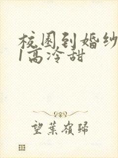 校园到婚纱1V1高冷甜封面