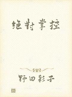 绝对掌控封面