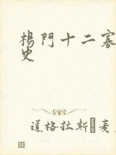 杨门十二寡妇艳史封面