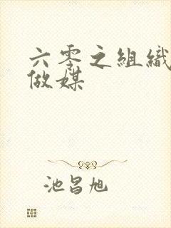 六零之组织给我做媒