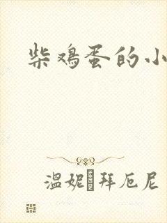 柴鸡蛋的小说