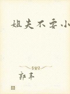 姐夫不要小说