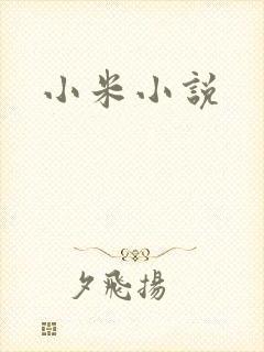 小米小说