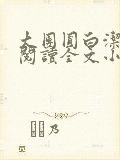 大团圆白洁免费阅读全文小说