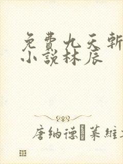 免费九天斩神诀小说林辰