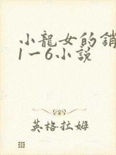 小龙女的销魂夜1一6小说
