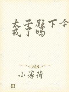 太子殿下今天破戒了吗封面