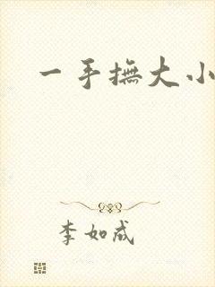 一手抚大小说