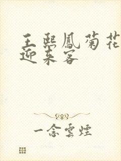 王熙凤菊花门初迎来客