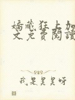 娇藏狂上加狂全文免费阅读笔趣阁