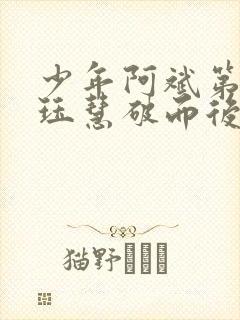 少年阿斌第二部珏慧破而后立封面