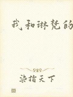 我和琳梵的故事