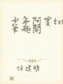 少年阿宾txt笔趣阁