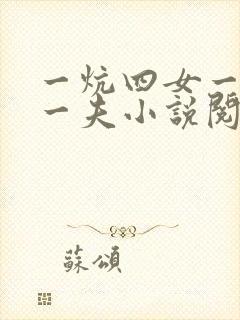 一炕四女一共侍一夫小说阅读