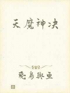 天魔神决封面