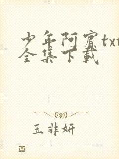 少年阿宾txt全集下载