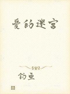 爱的迷宫封面