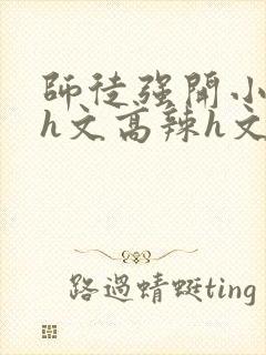 师徒强开小嫩苞h文高辣h文封面