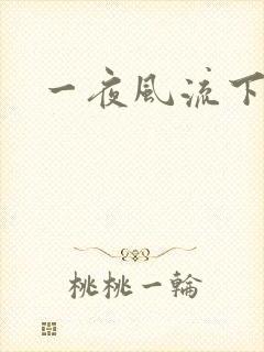一夜风流下载封面