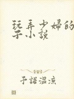 玩弄少妇的大奶子小说