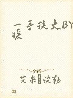 一手扶大BY泱暖封面