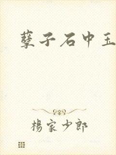孽子石中玉