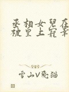 丞相女儿在书房被皇上宠幸