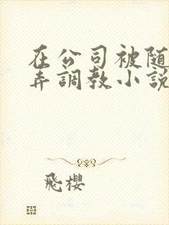 在公司被随意玩弄调教小说