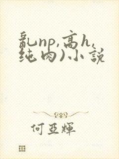 乱np,高h,纯肉)小说封面