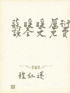 苏暖暖厉衍琛小说全文免费阅读