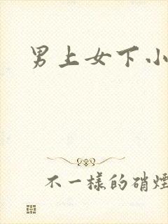 男上女下小说