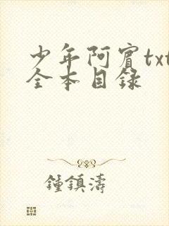 少年阿宾txt全本目录