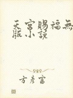 天宫赐福无删减版小说