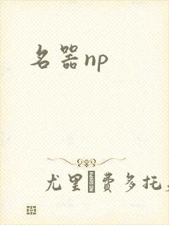 名器np
