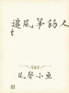 追风筝的人txt