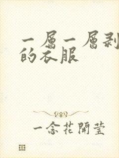 一层一层剥掉你的衣服
