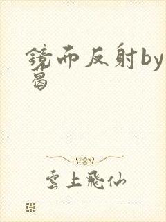 镜面反射by九葛封面