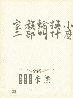 家族轮换小说第二部叫什么名字