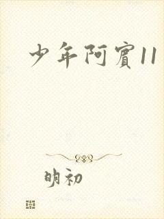 少年阿宾11封面