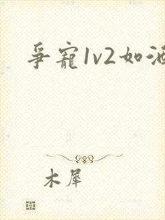 争宠1v2如酒封面