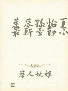 叶辰孙怡夏若雪最新章节小说心封面