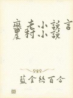 恋老小说言情网农村小说封面