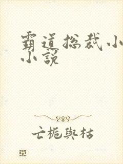 霸道总裁小娇妻小说